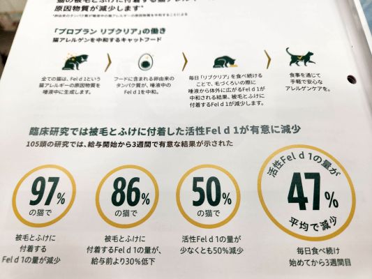 猫アレルギー軽減食