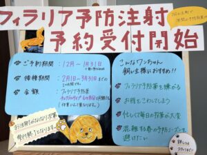 フィラリア予防注射プロハート