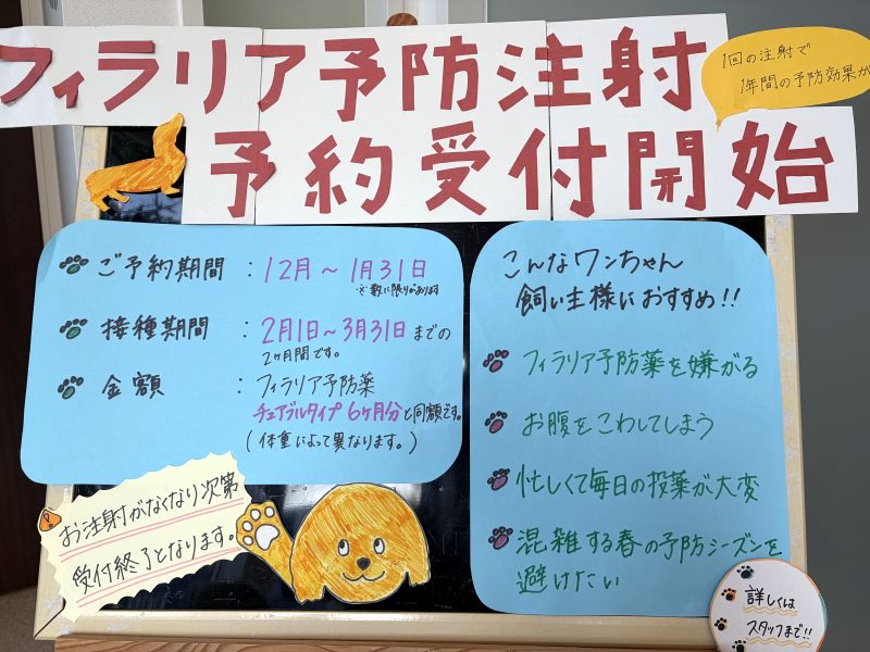 フィラリア予防注射プロハート